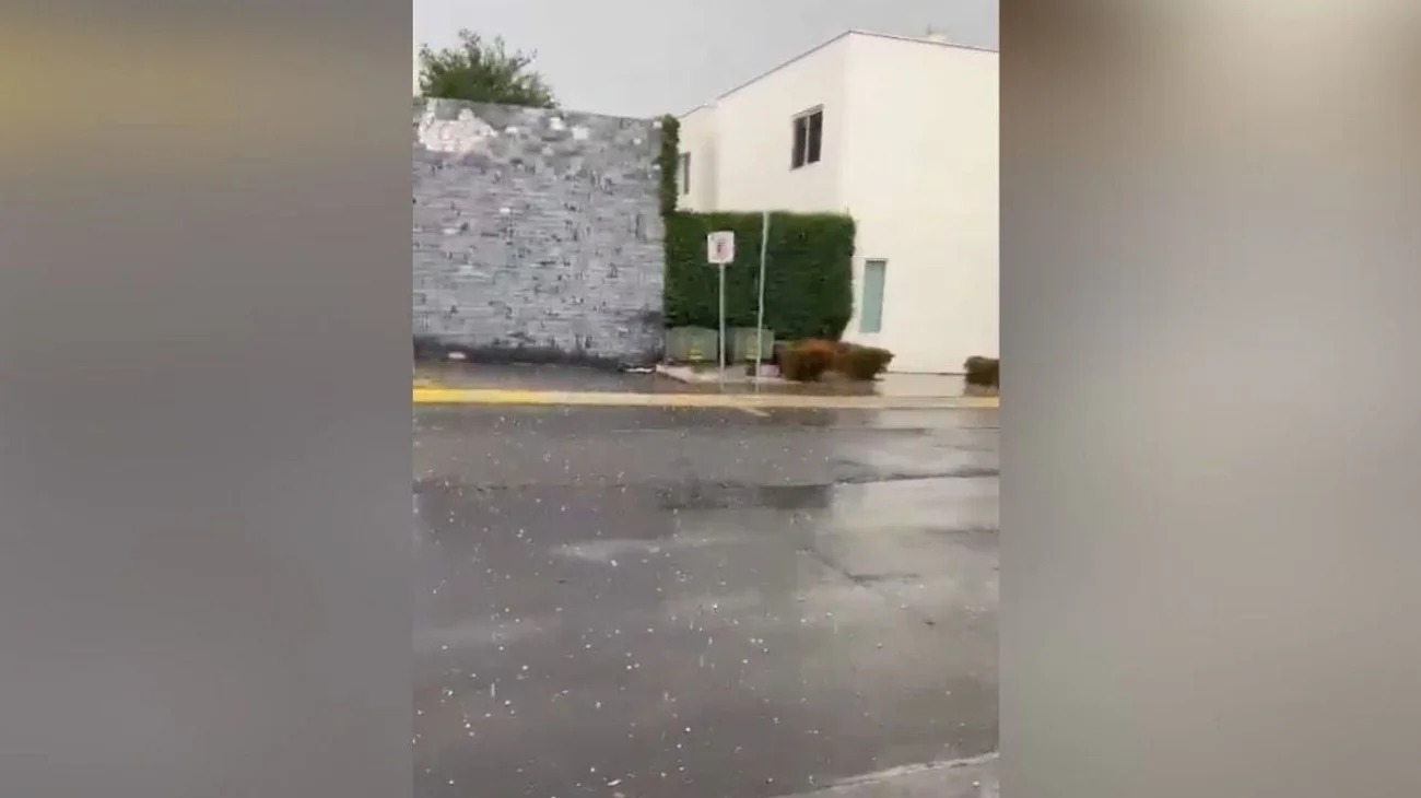 Copia_de_Copy_of_PLANTILLAS_WEB_DIC_7486ee9765