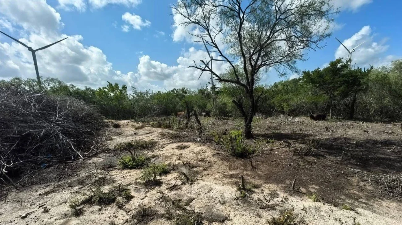  Se profundiza crisis forense ante falla en identificar restos 