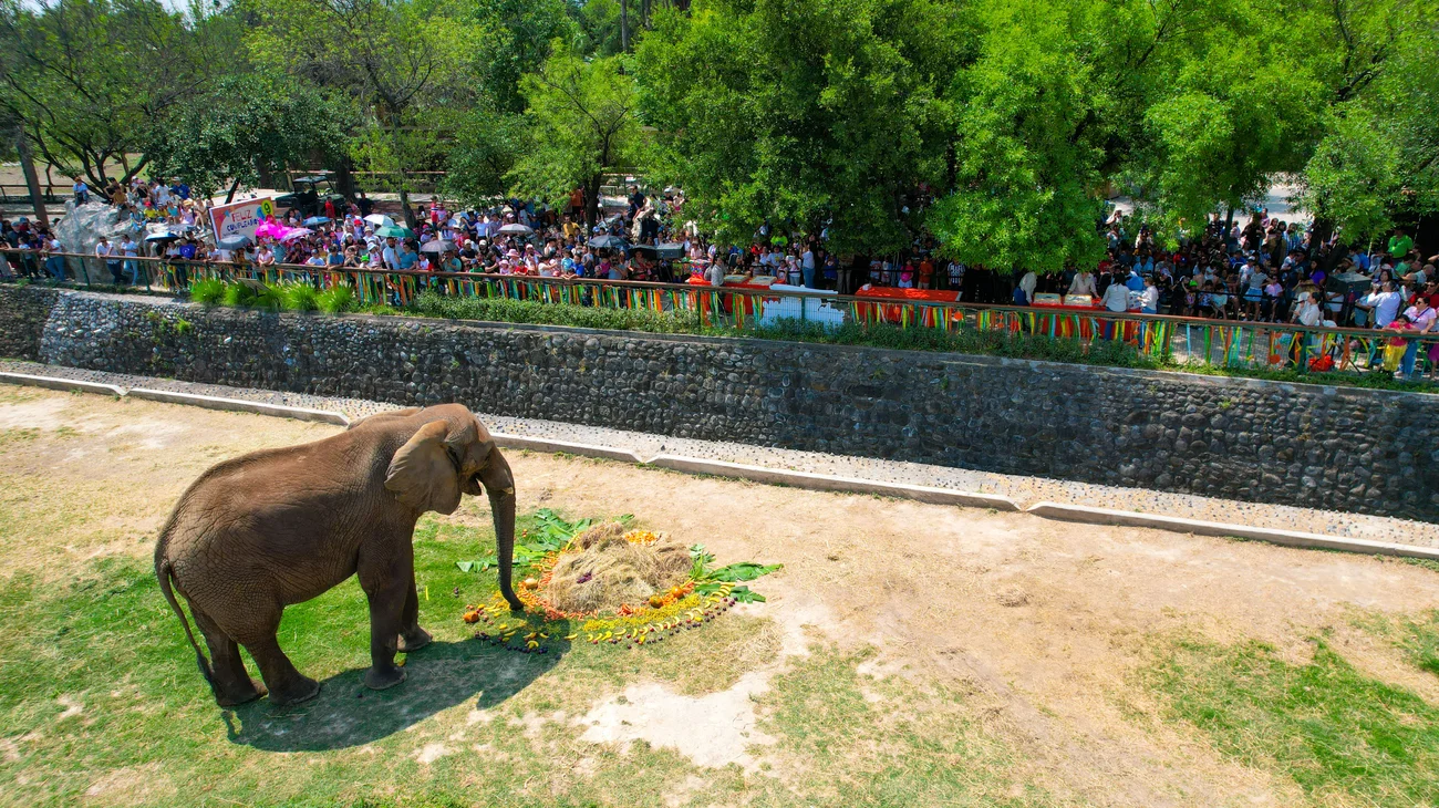 Cumple_Monty_19_079_4e0b753870