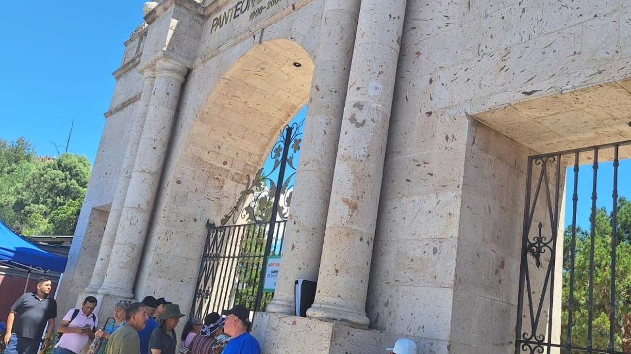 Ataque de abejas deja lesionados en panteón de Saltillo