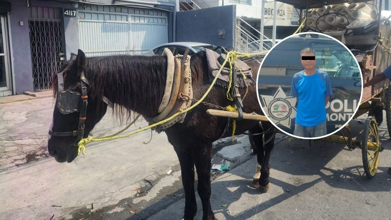 Detienen a hombre por golpear caballo con una vara en Monterrey