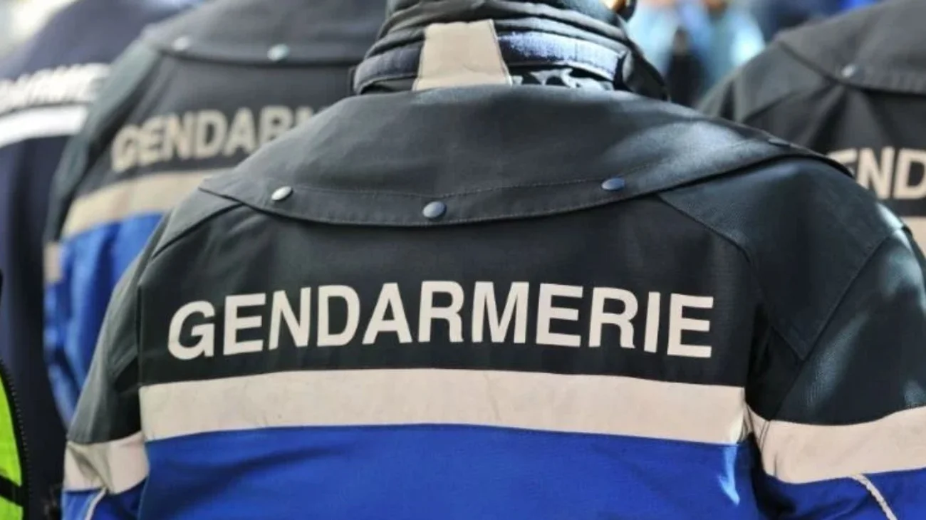 Decomisan 1.8 toneladas de presunta droga mexicana en Francia