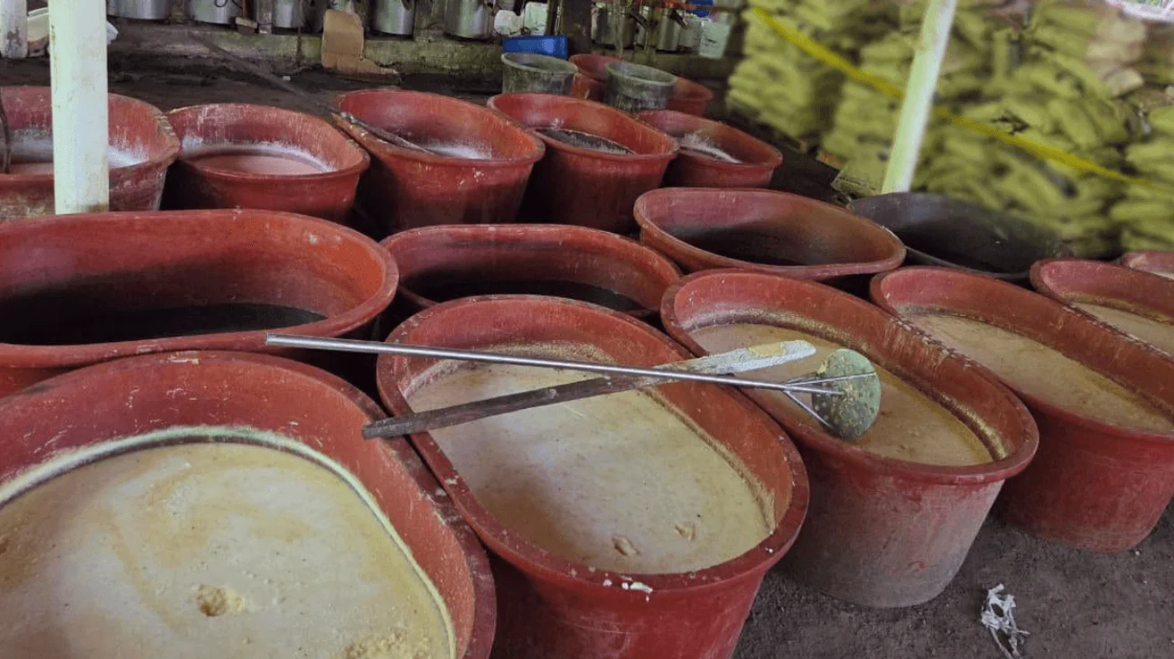 Decomisan seis toneladas de droga en Chiapas y Guerrero