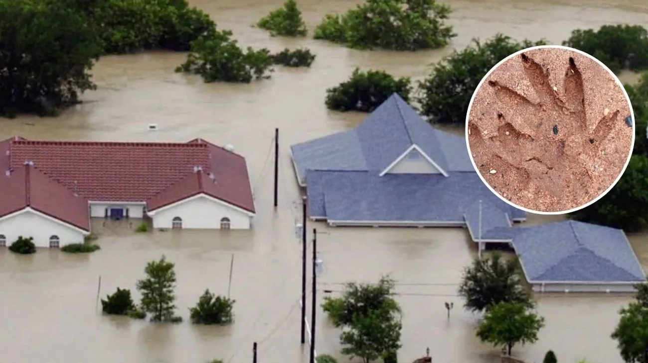 Descubren_huellas_de_dinosaurio_tras_inundaciones_en_Texas_6df3ff9297