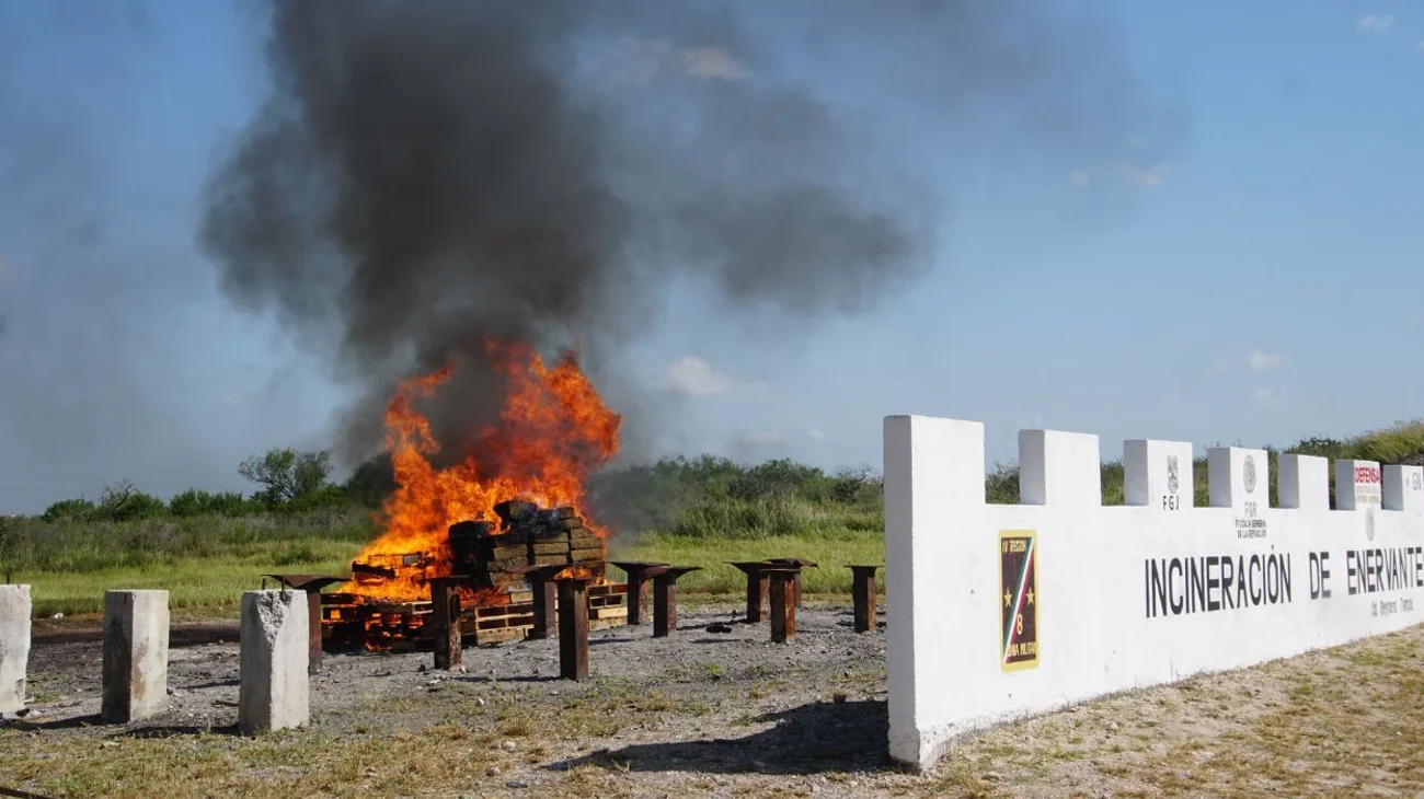 Destruyen_droga_asegurada_en_Reynosa_durante_operativo_conjunto_b523be1626
