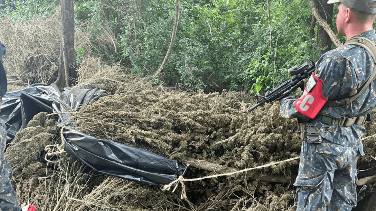 Decomisan casi 10 toneladas de marihuana en Paraguay