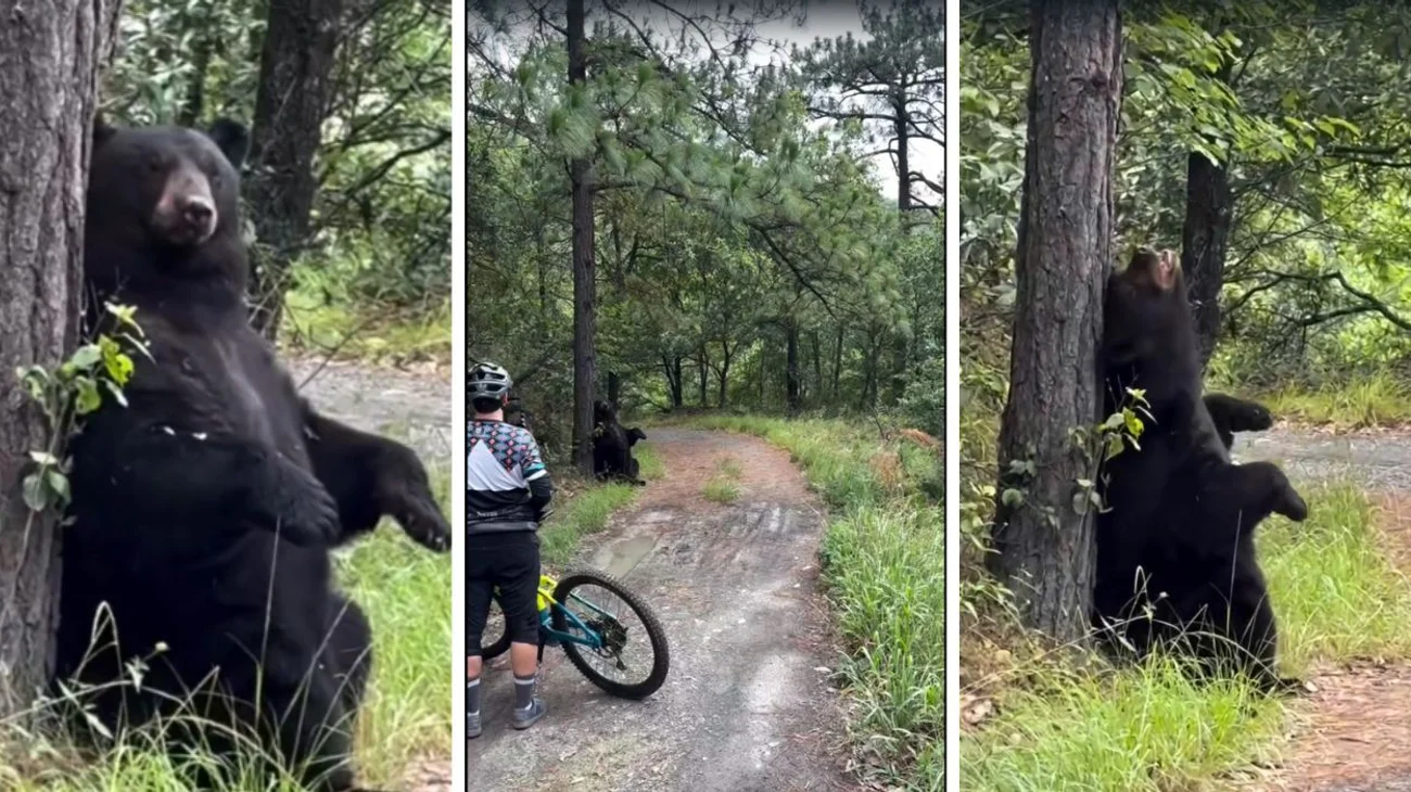 EH_COLLAGE_28c4bd1367