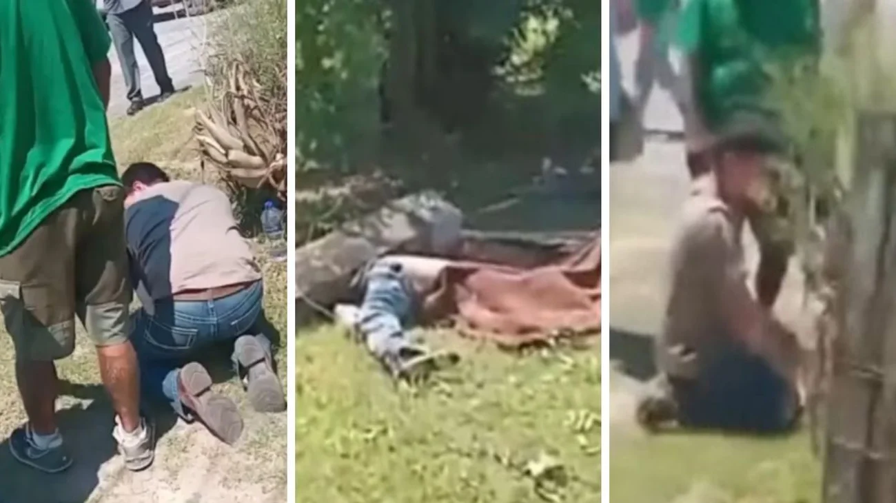 EH_COLLAGE_77_b4acb9109f