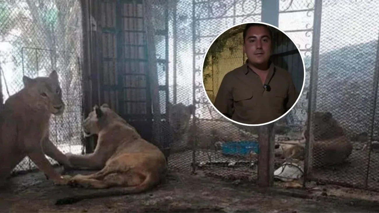 EH_CONTEXTO_2025_05_03_T141950_992_15ba256ca4