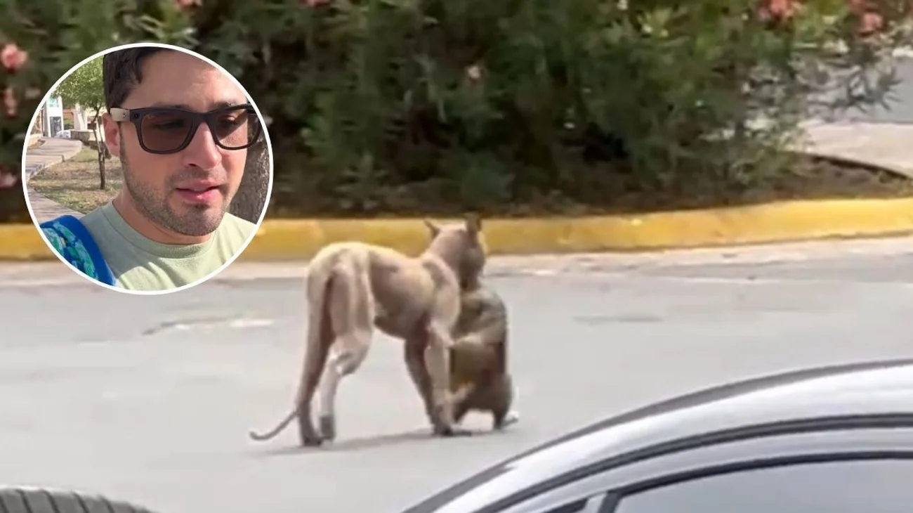 EH_CONTEXTO_2025_06_24_T131435_440_a1a3e3e077