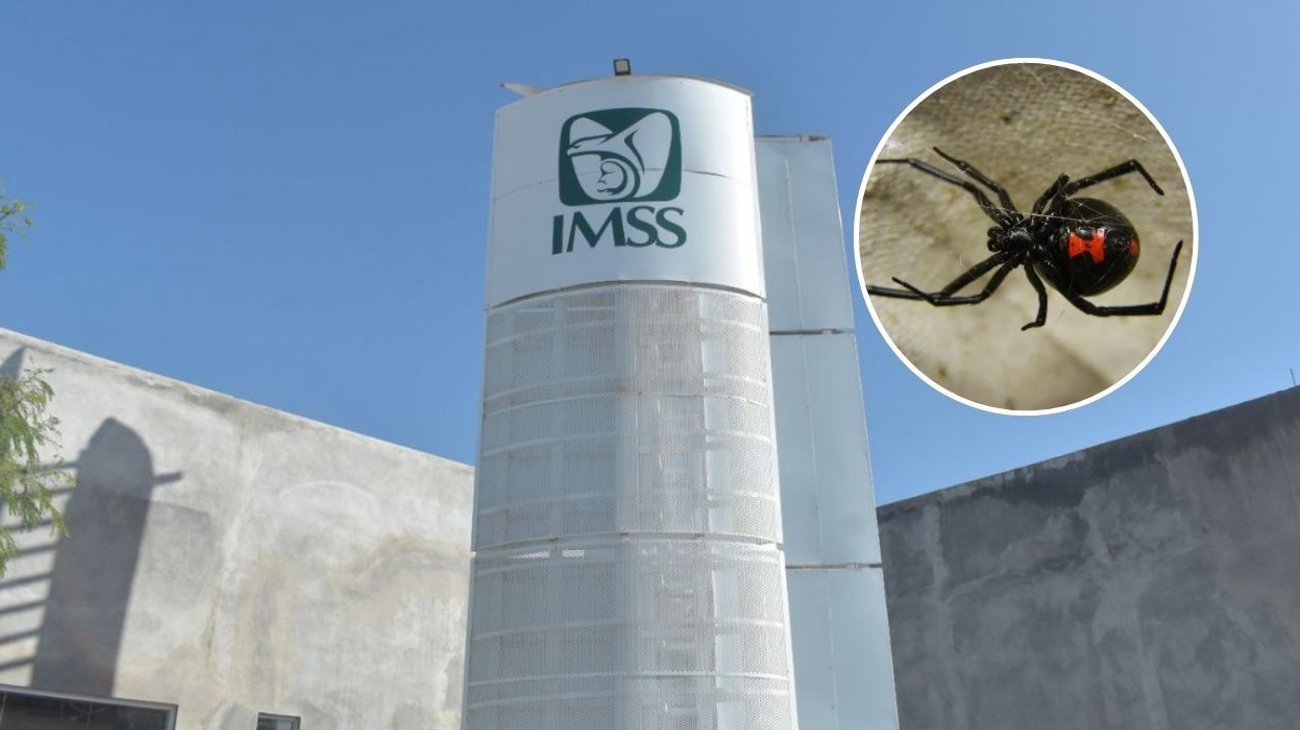 EH_CONTEXTO_2025_11_16_T150604_848_8fcfd3a6fb