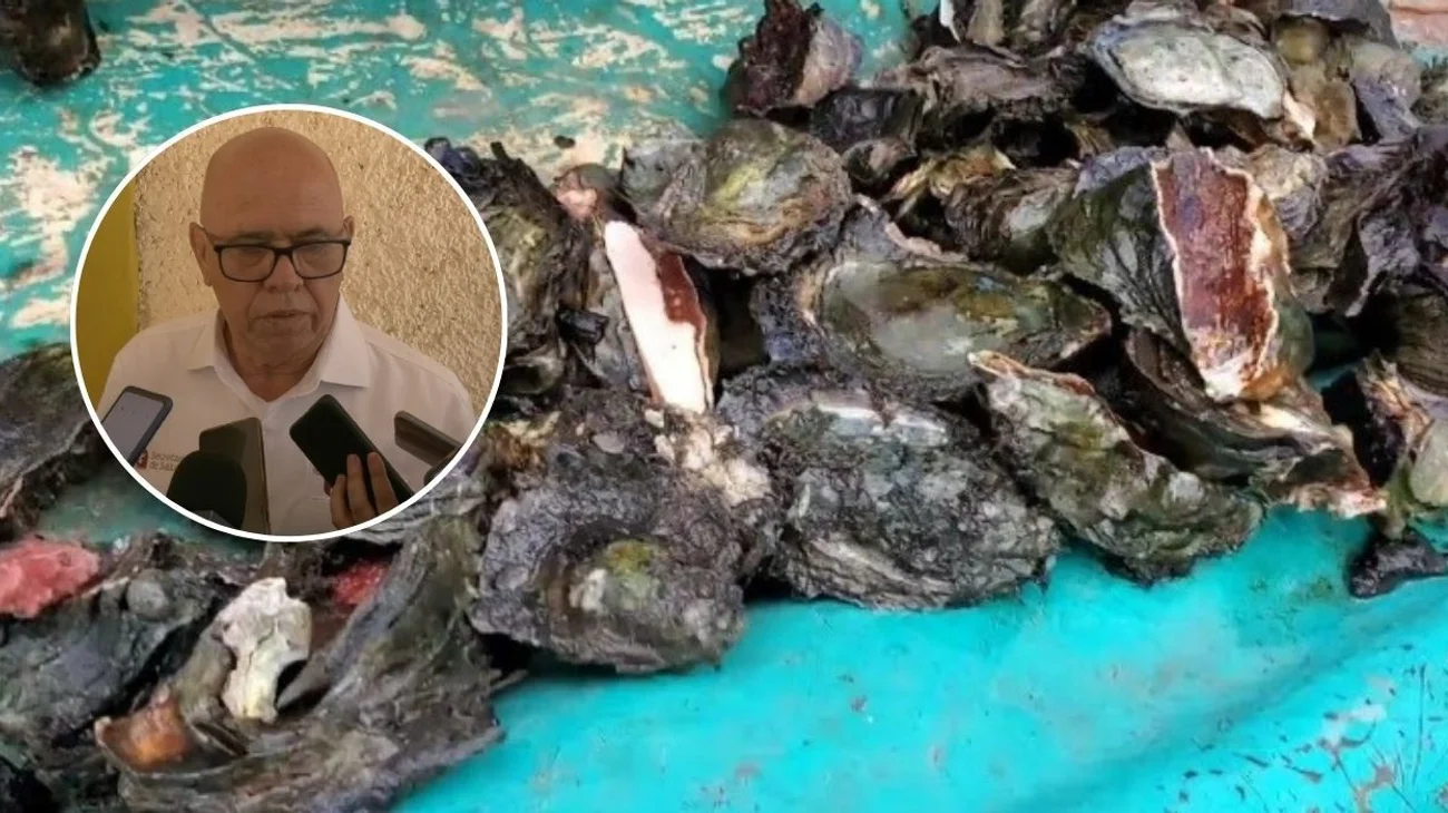 EH_CONTEXTO_2_70cbe7377c