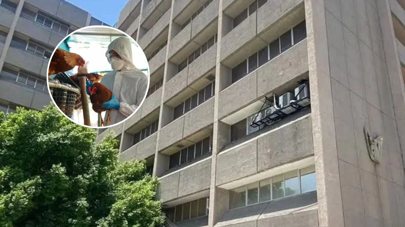 EH_CONTEXTO_74_099aca3845