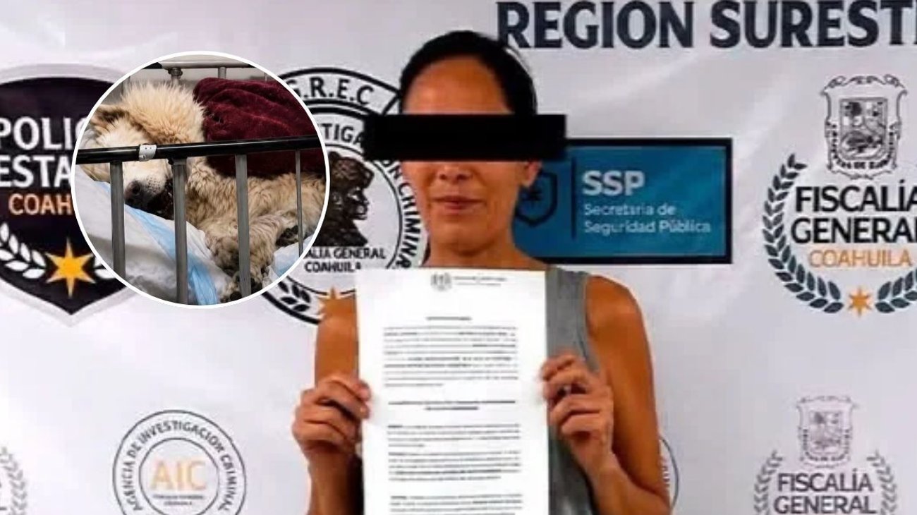 Niegan prisión domiciliaria a implicada en maltrato animal