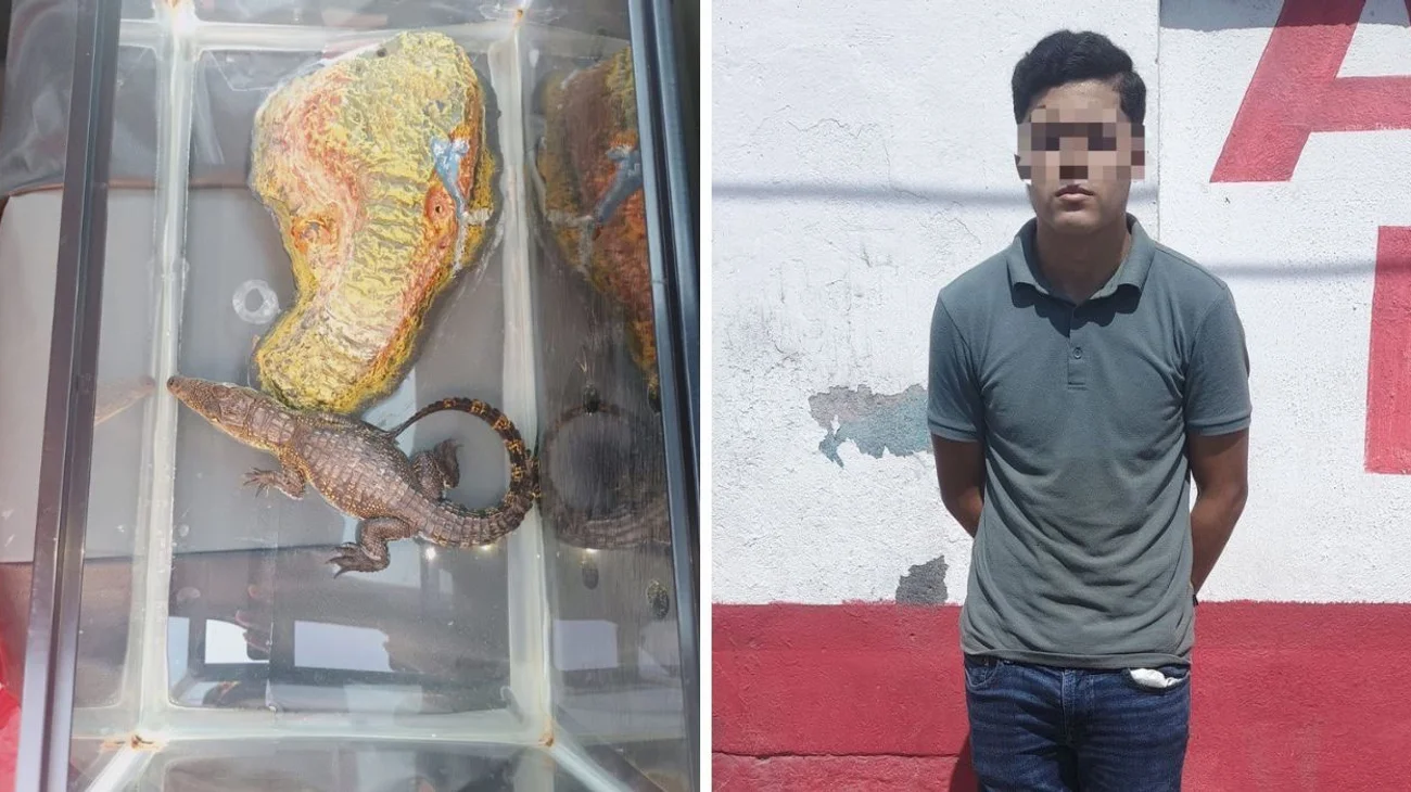 EH_DOS_FOTOS_2025_08_09_T084342_614_fe9df11246