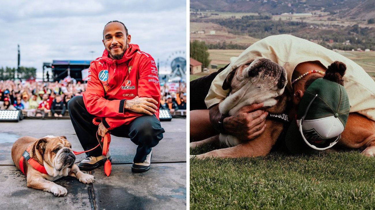 EH_DOS_FOTOS_2025_09_29_T115418_949_2fa6fac8e8