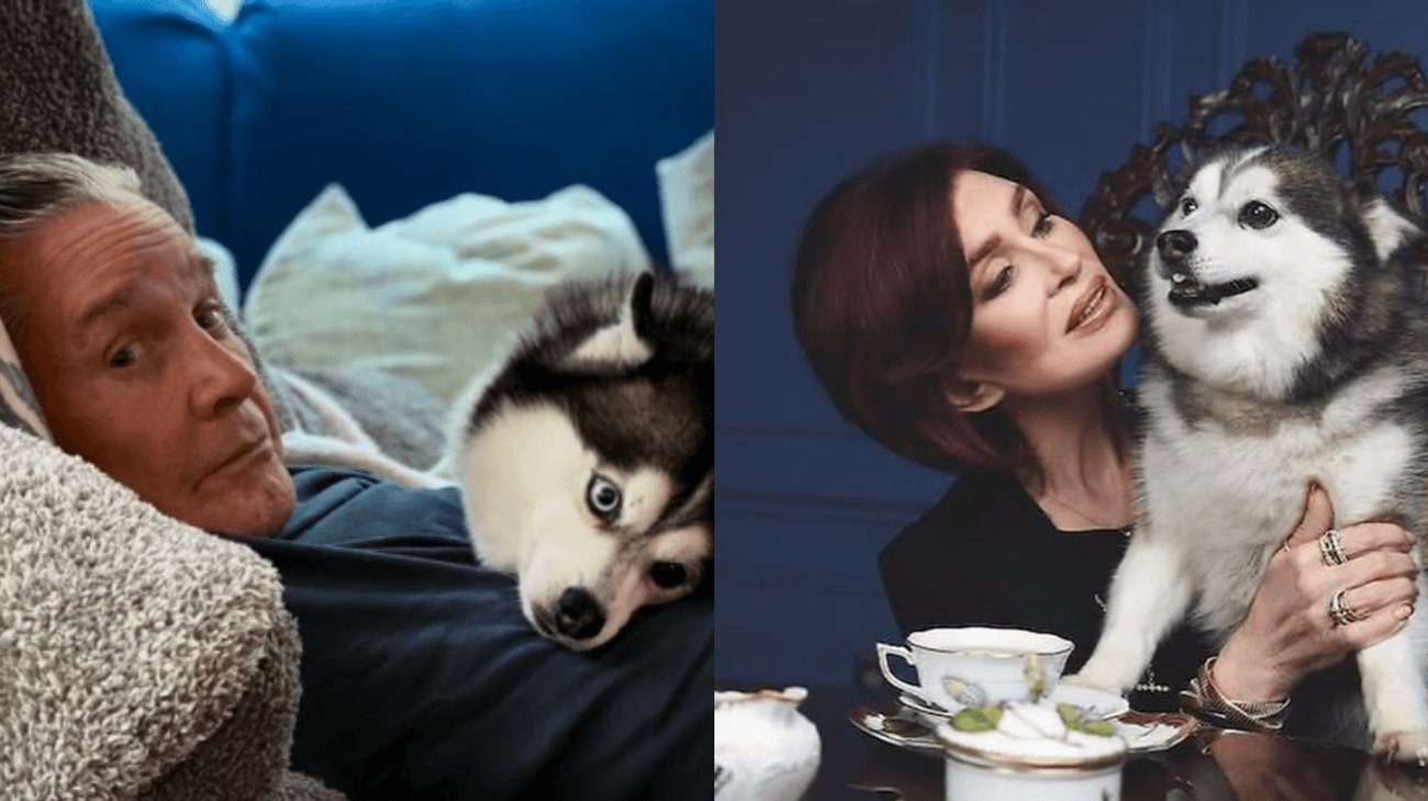 EH_DOS_FOTOS_2025_10_20_T093633_478_ce235a167b