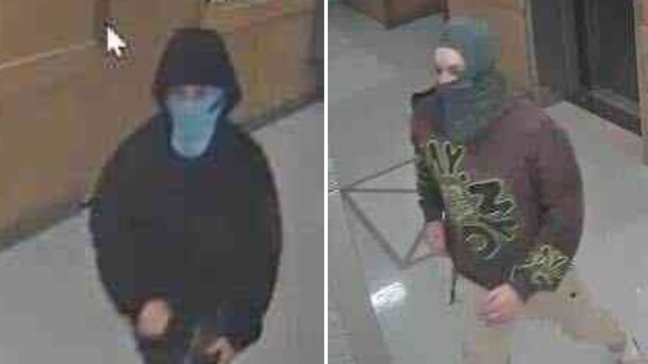 EH_DOS_FOTOS_2025_11_04_T121429_432_3de2e1eb0a