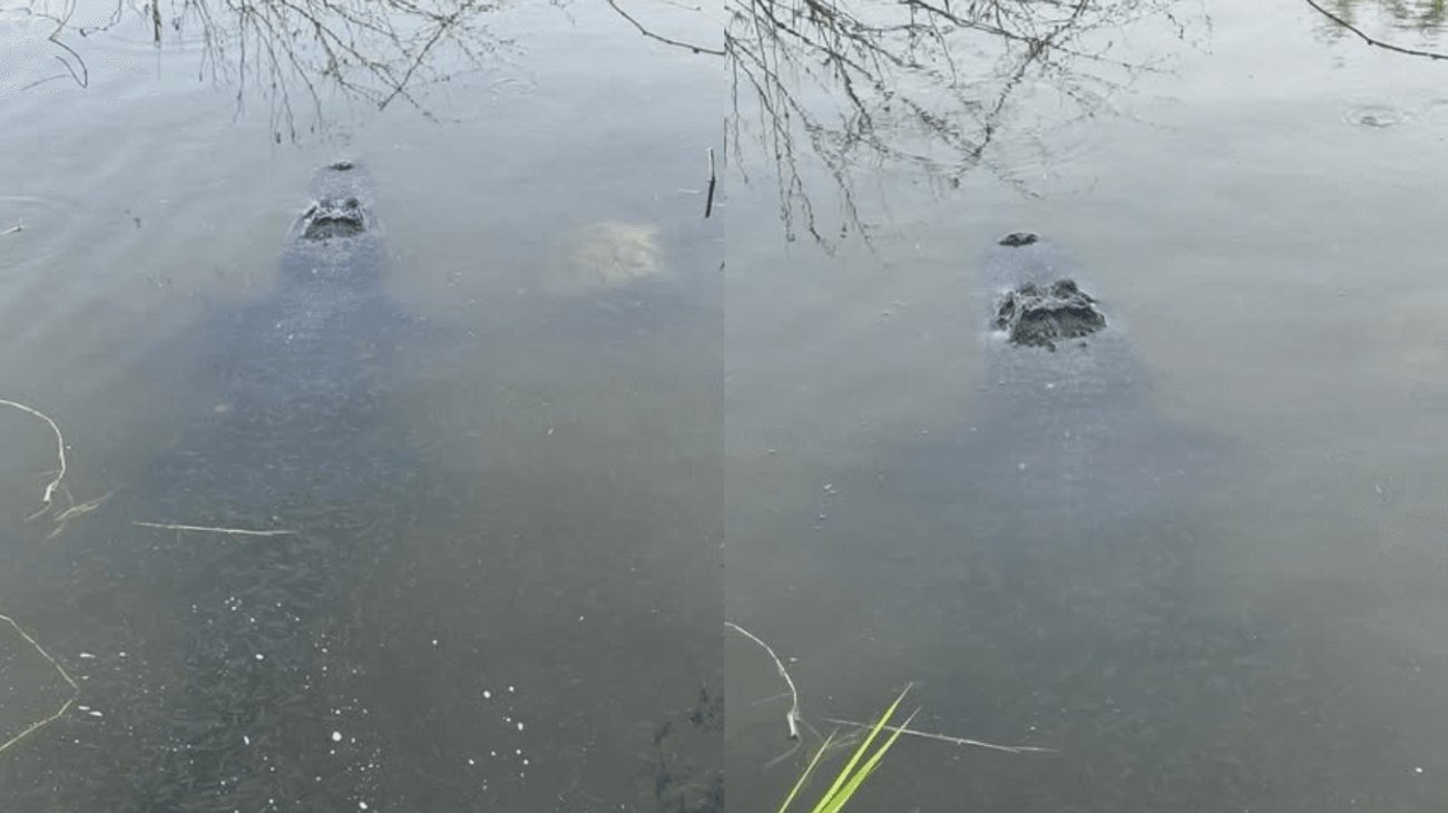 EH_DOS_FOTOS_2025_11_10_T145334_095_64ea439a9d