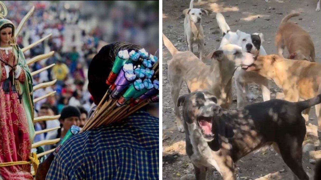 EH_DOS_FOTOS_2025_11_30_T120717_852_c1c283f3f7