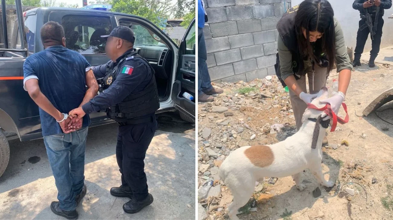 Rescatan a Blanquito, perrito que sufría crueldad animal