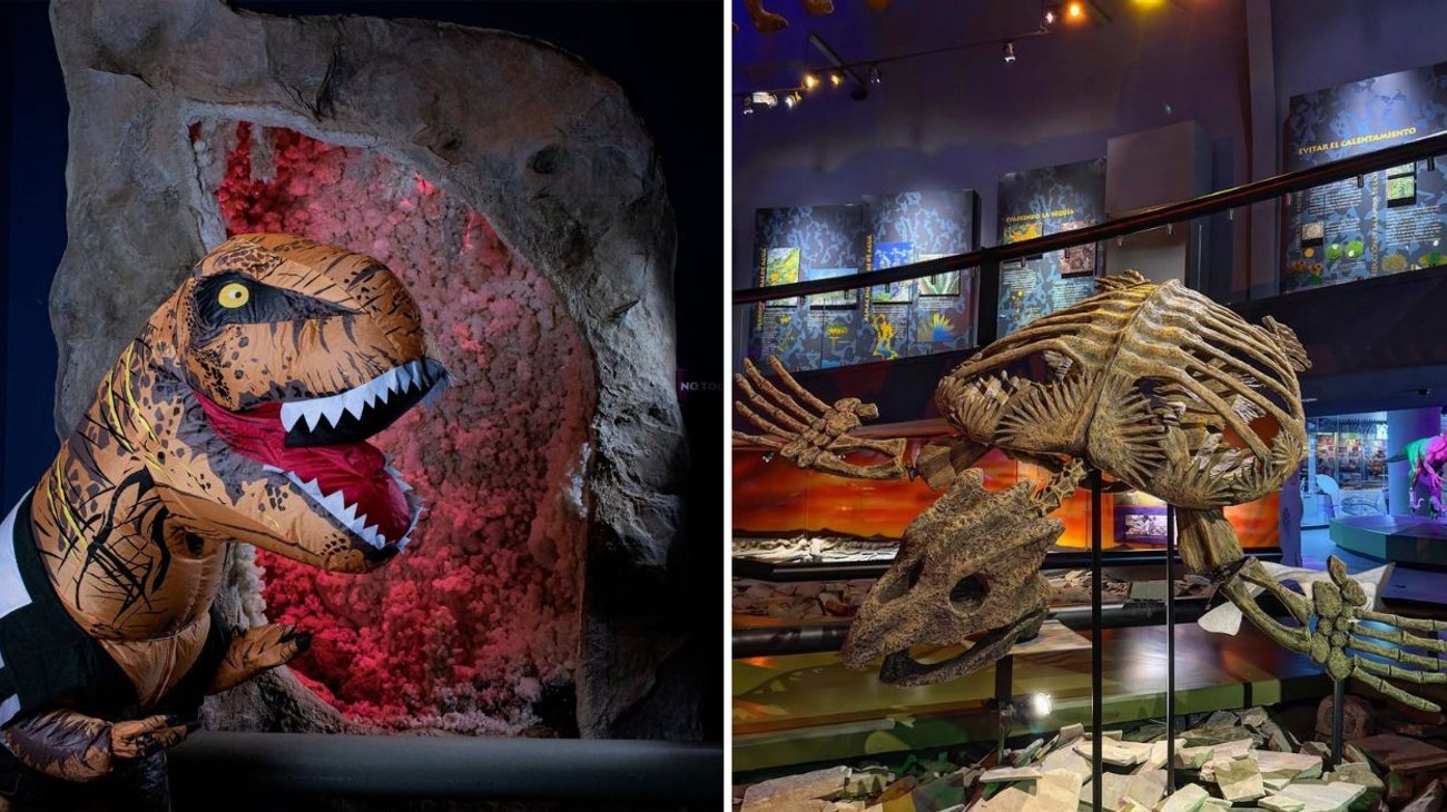 EH_DOS_FOTOS_4_6758446673