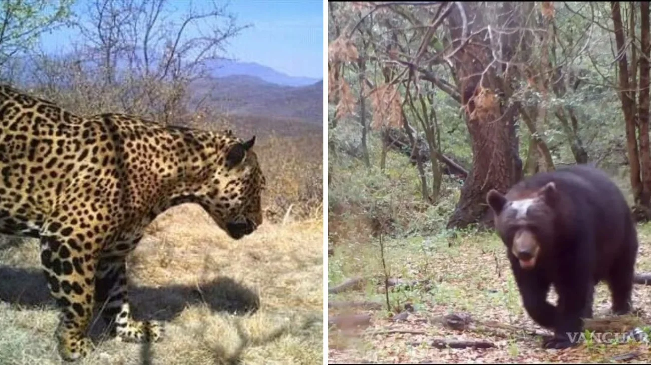 EH_DOS_FOTOS_4_dab58647f2