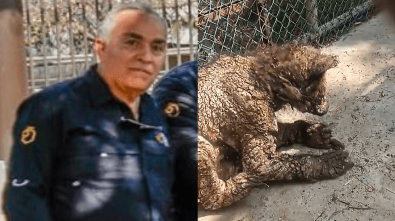 EH_DOS_FOTOS_55_ae01e82fa1