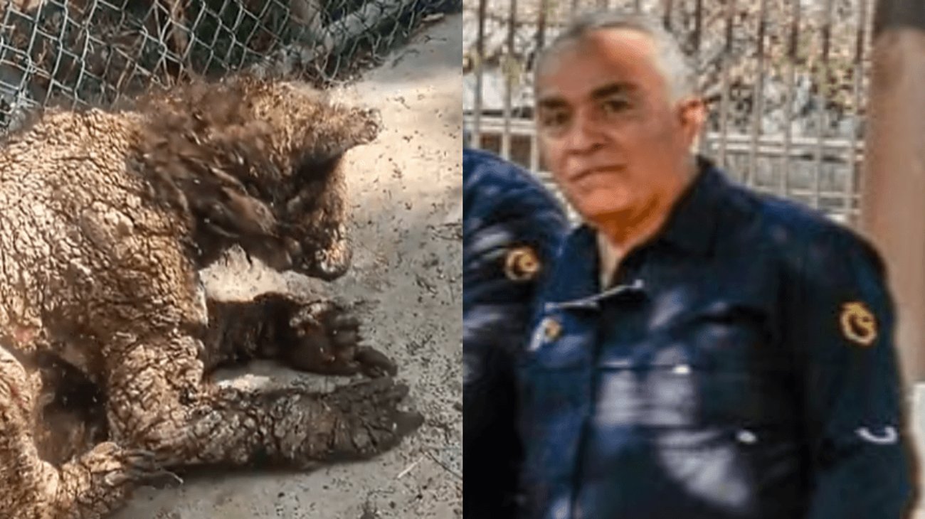 'Mina' ya tiene nuevo hogar; despiden a coordinador de La Pastora