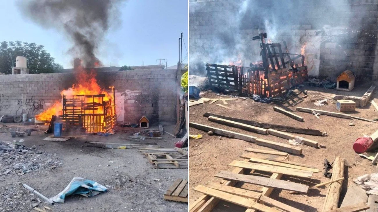 EH_DOS_FOTOS_d429535d59