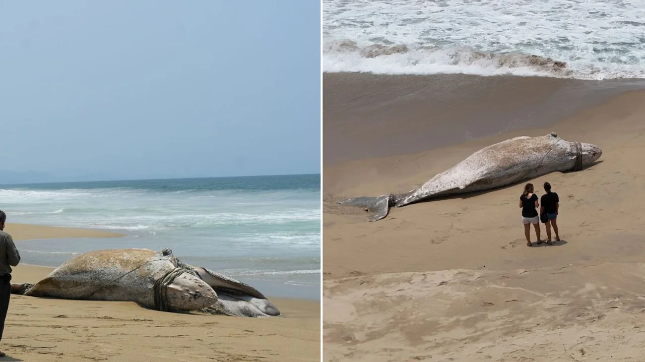 EH_DOS_FOTOS_d84a37c869