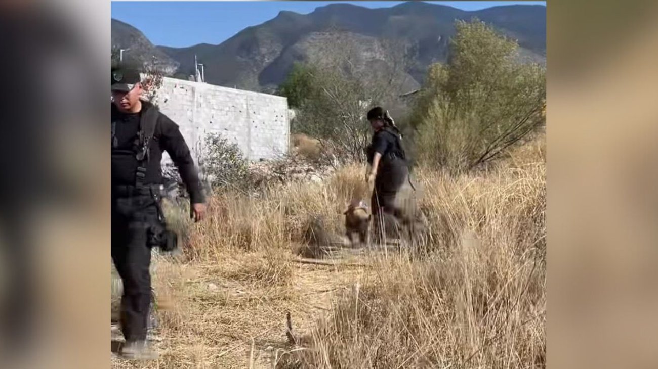 EH_FOTO_VERTICAL_13_fbf3d325cc