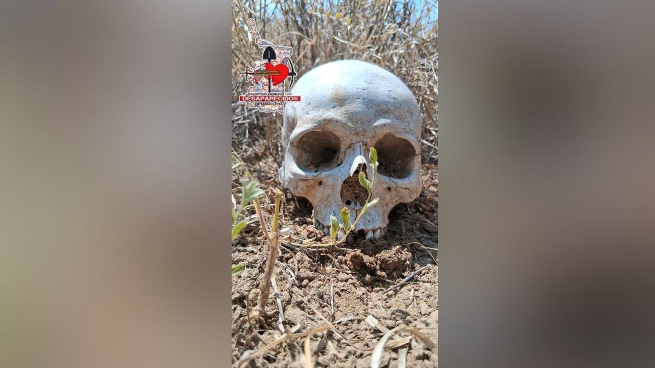 Localizan presunta fosa y restos humanos en Miguel Alemán