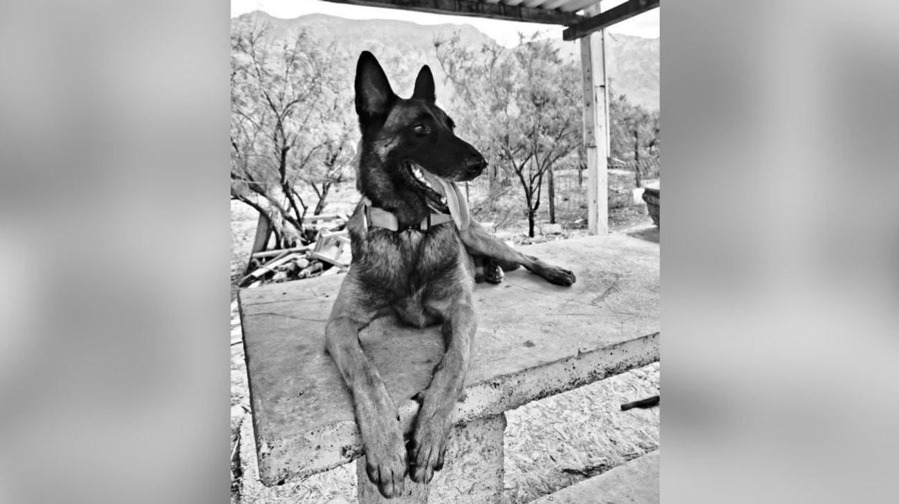 EH_FOTO_VERTICAL_2025_10_06_T184629_751_bd7b2791c1