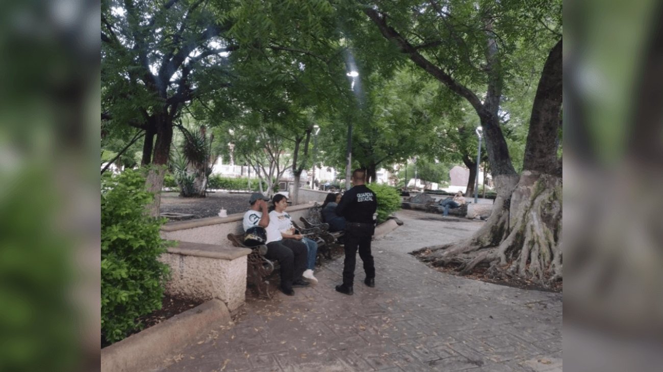 EH_FOTO_VERTICAL_22_0b0f180ccd