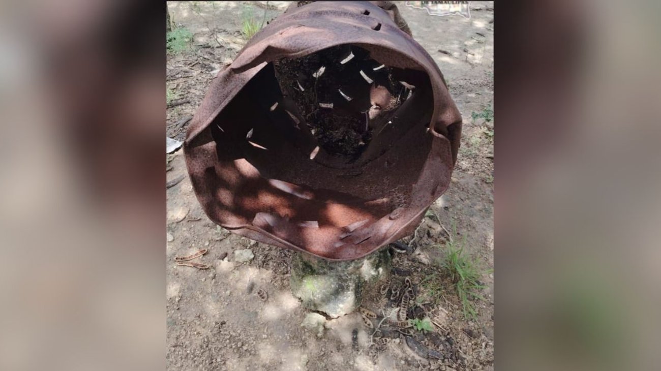 EH_FOTO_VERTICAL_2_393b41091e