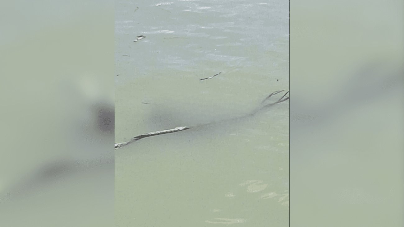 Hallan cuerpo en estado de descomposición sobre Playa Miramar