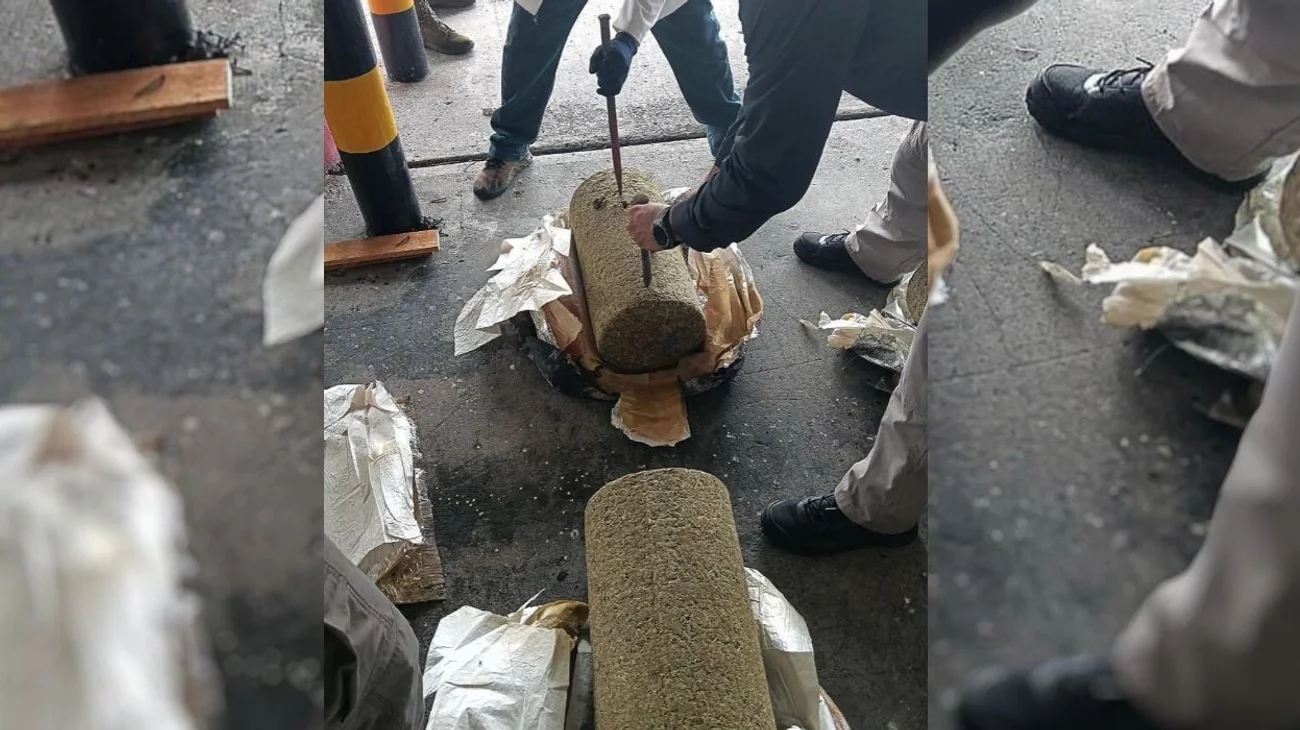 Asegura más de media tonelada de marihuana en puerto de Veracruz