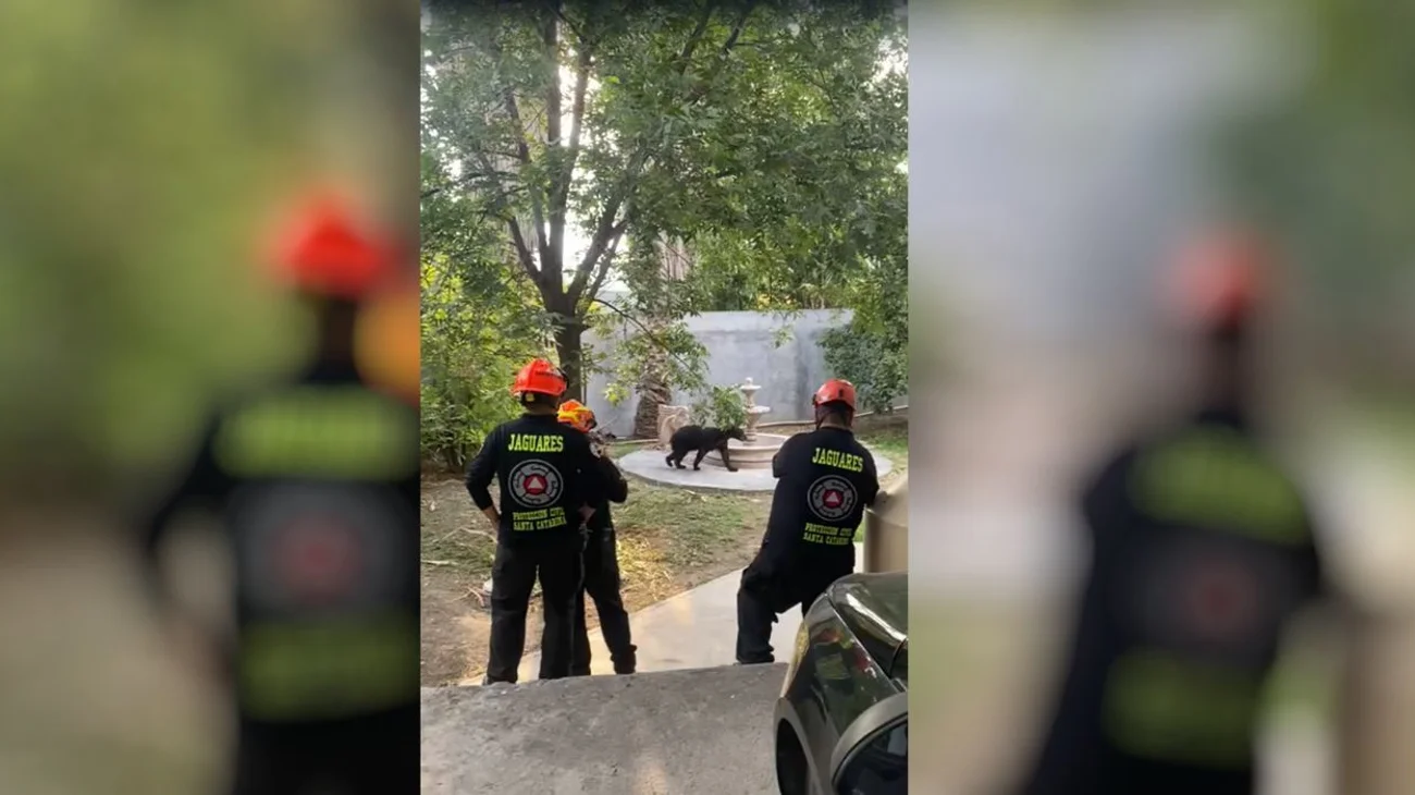 EH_FOTO_VERTICAL_60df66cd87