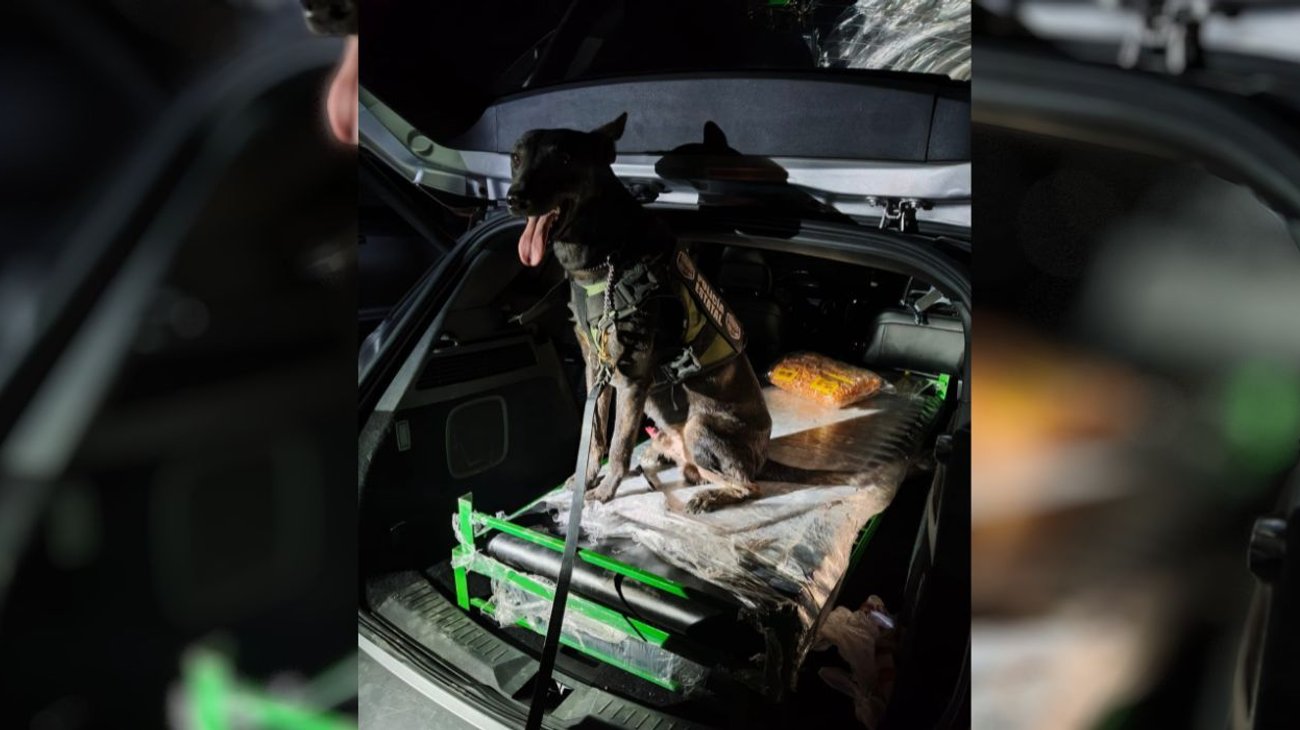 Aseguran en Piedras Negras droga con un valor de más de 7 mdp