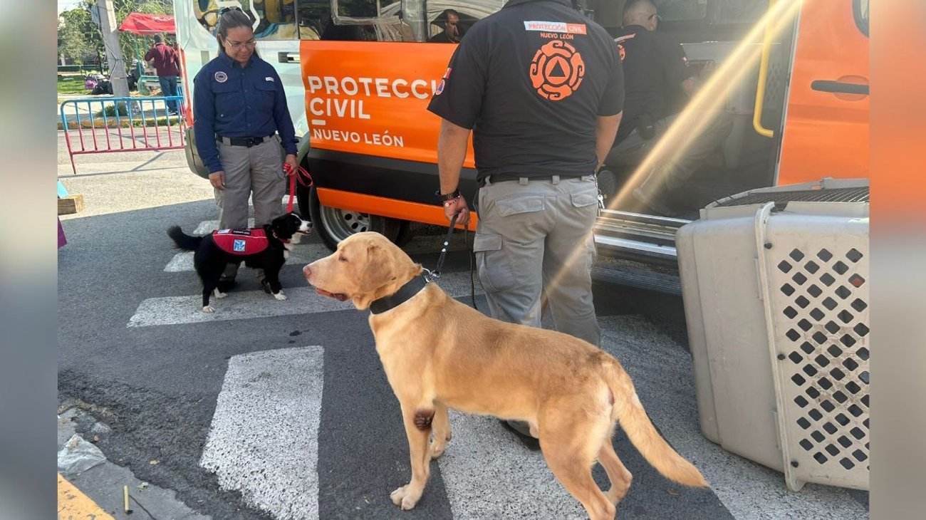 EH_FOTO_VERTICAL_85_fcbcea9631