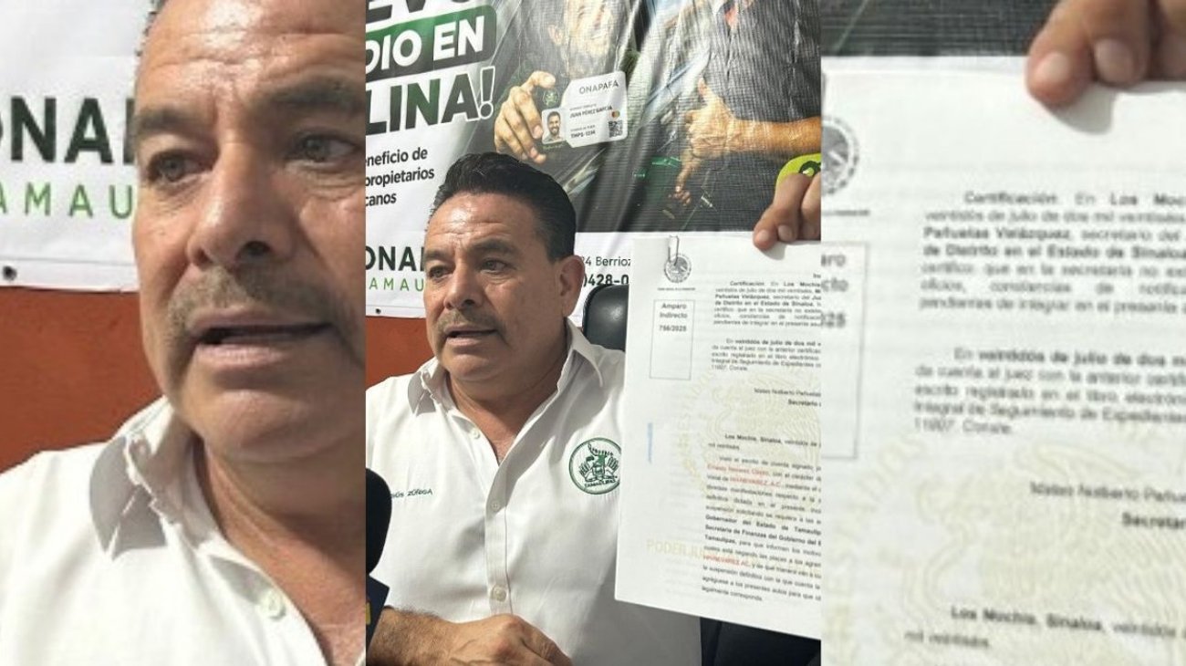 Advierten que usar "autos chocolate" es contrabando