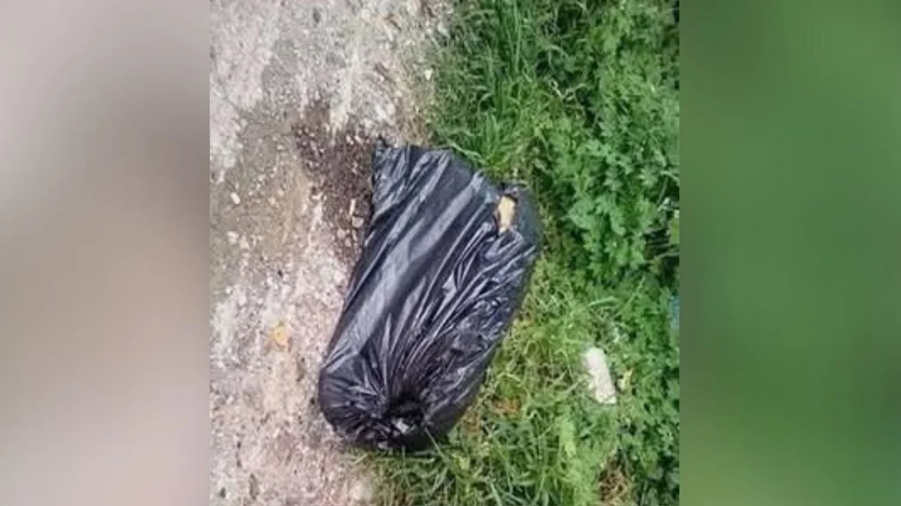 EH_FOTO_VERTICAL_b878852a5c