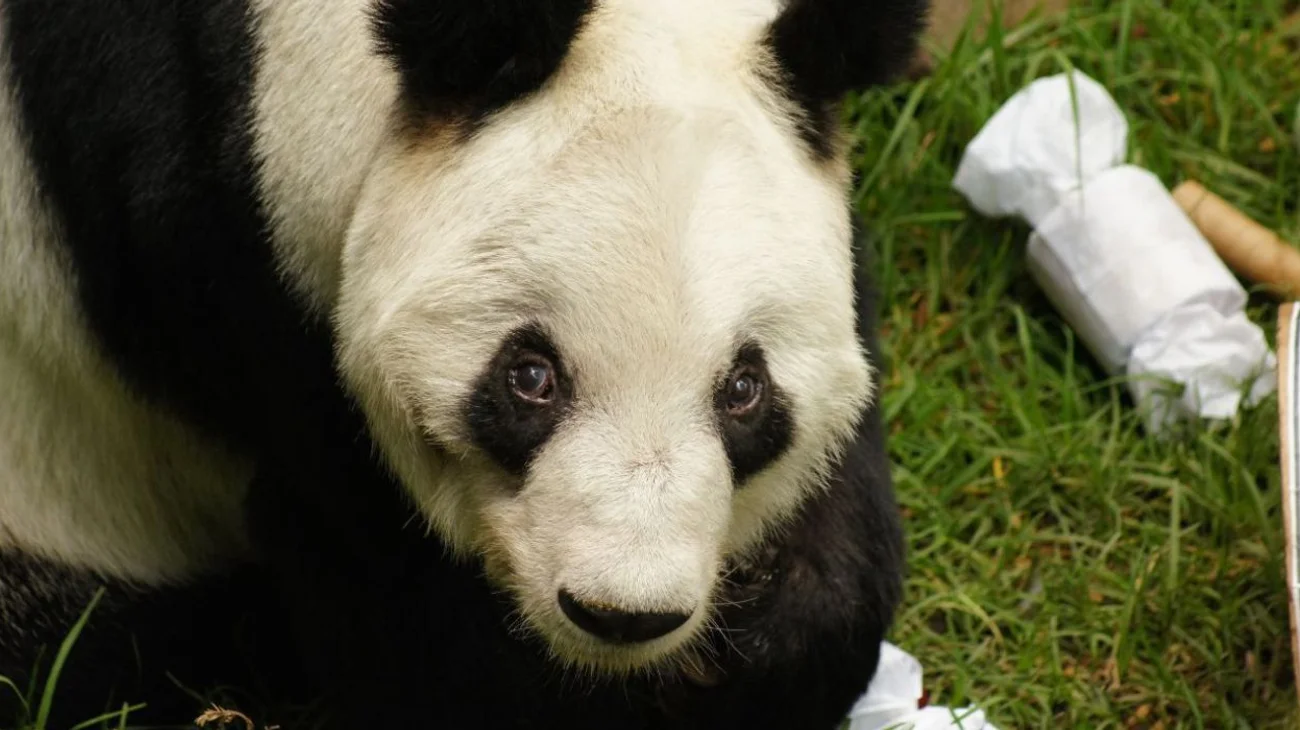 EH_UNA_FOTO_073f9b1935