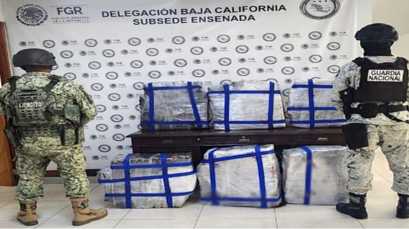 Decomisan droga con valor de $64 millones de pesos en Ensenada