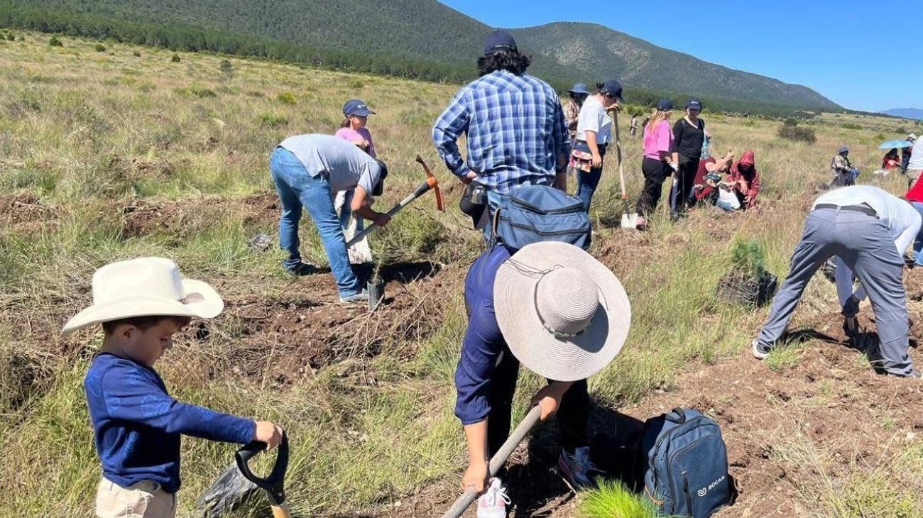 EH_UNA_FOTO_157742a817