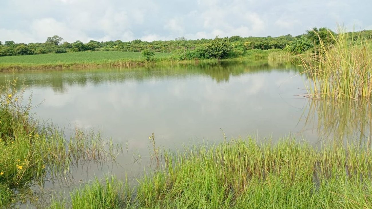 EH_UNA_FOTO_17178d0316