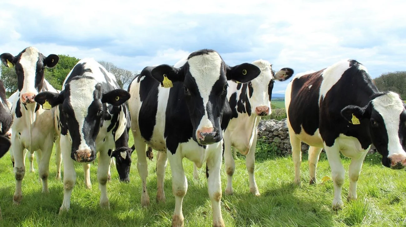 EH_UNA_FOTO_1_b828f33df4