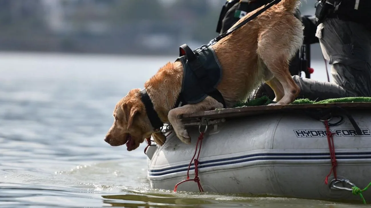 EH_UNA_FOTO_1_d6d8571948