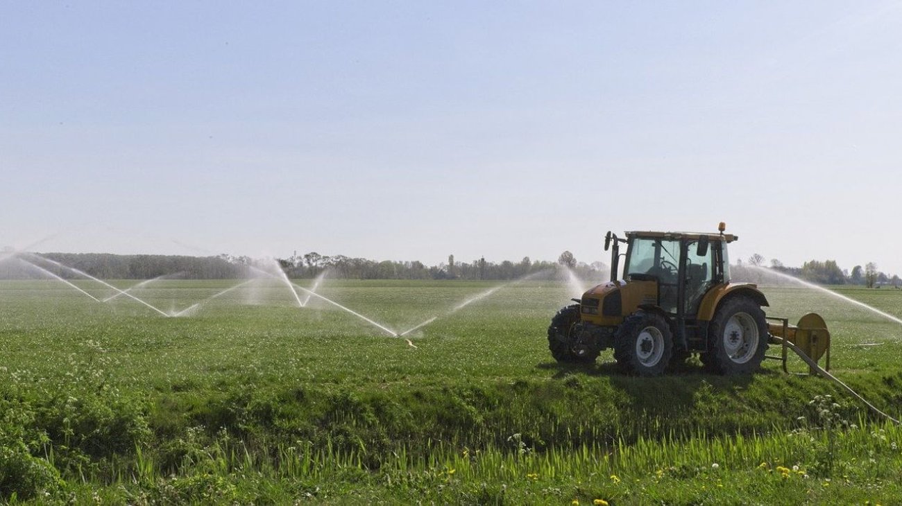 EH_UNA_FOTO_1_daf5958ab3